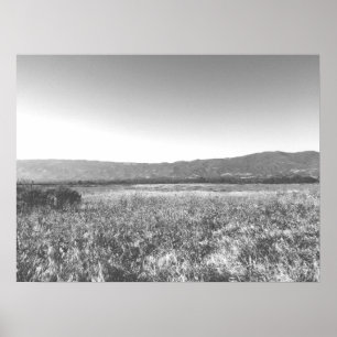 Póster Campo solar blanco y negro Santa Barbara Cali