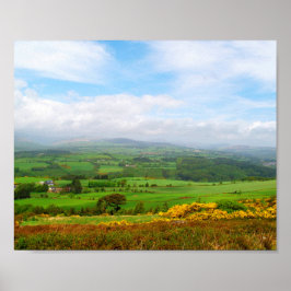 Póster Campo verde