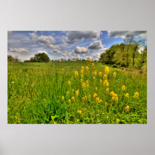 Póster Campo verde y cielo azul turbio