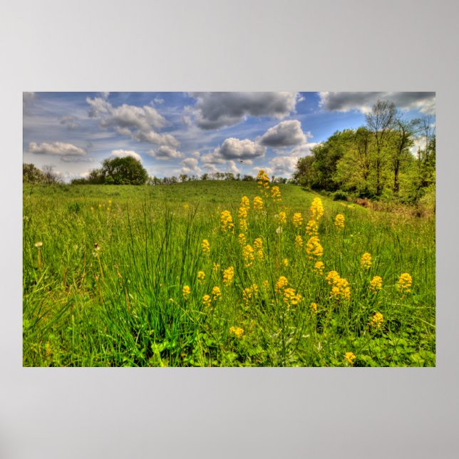 Póster Campo verde y cielo azul turbio (Frente)