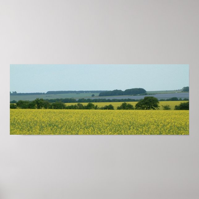 Póster Campos (Frente)