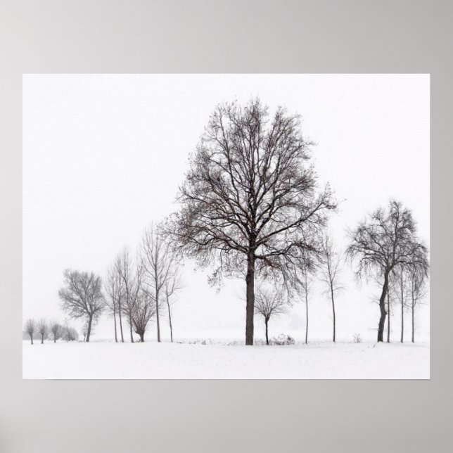 Póster Campos alrededor de Scalenghe | Piamonte, Italia (Frente)