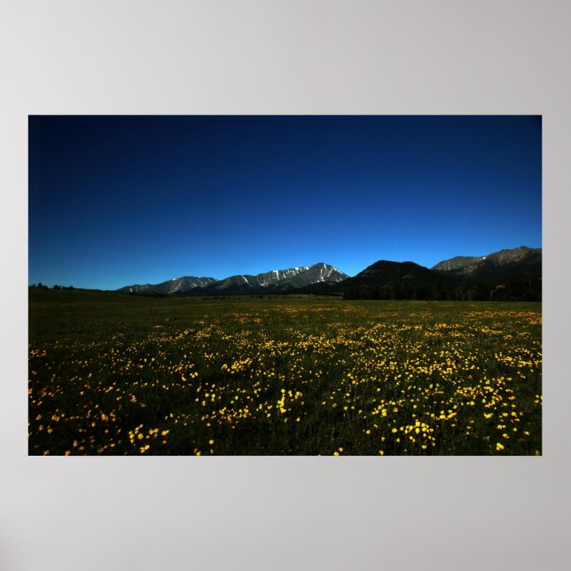 Póster Campos amarillos (Frente)
