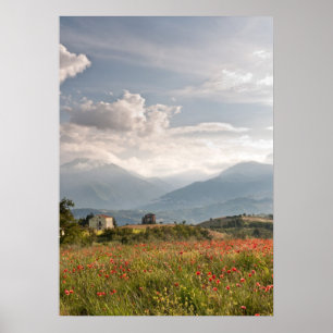 Póster Campos de adormidera en Poster italiano