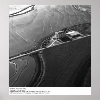 Póster Campos de arroz, Valle de Sacramento, por Ansel Ad