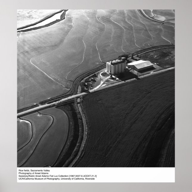 Póster Campos de arroz, Valle de Sacramento, por Ansel Ad (Frente)