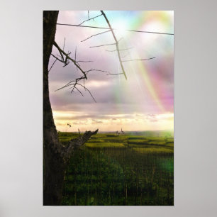 Póster Campos de Bali