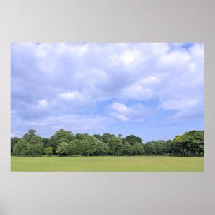 Póster Campos de Blackweir. Bute Park, Cardiff, Gales.