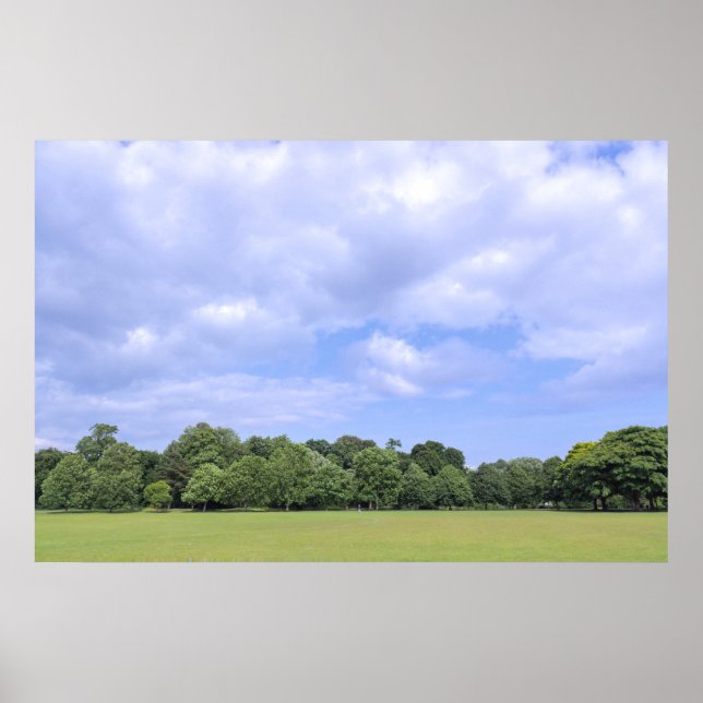 Póster Campos de Blackweir. Bute Park, Cardiff, Gales. (Frente)