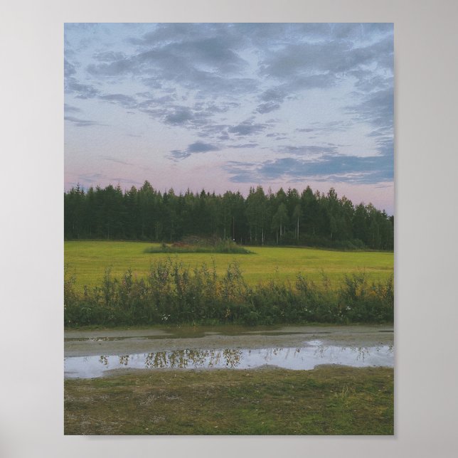 Póster Campos de Hälsingland (Frente)