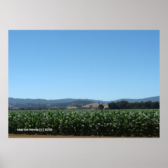 Póster Campos de maíz (Frente)