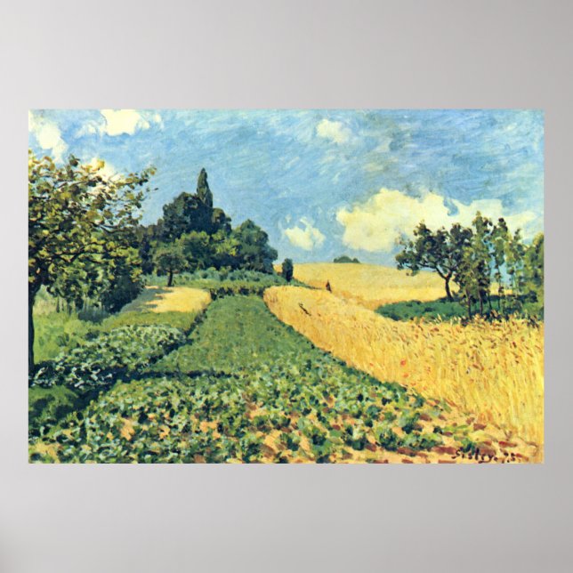 Póster Campos de maíz Alfred Sisley en las colinas de Arg (Frente)