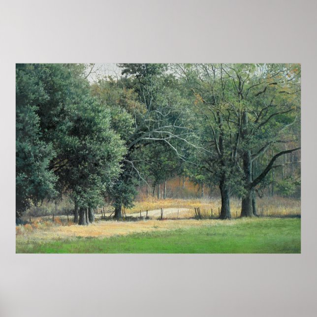 Póster Campos de talasoterapia 1 (Frente)