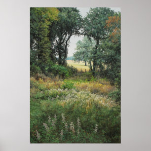 Póster Campos de Tallahassee 2