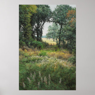 Póster Campos de Tallahassee 2