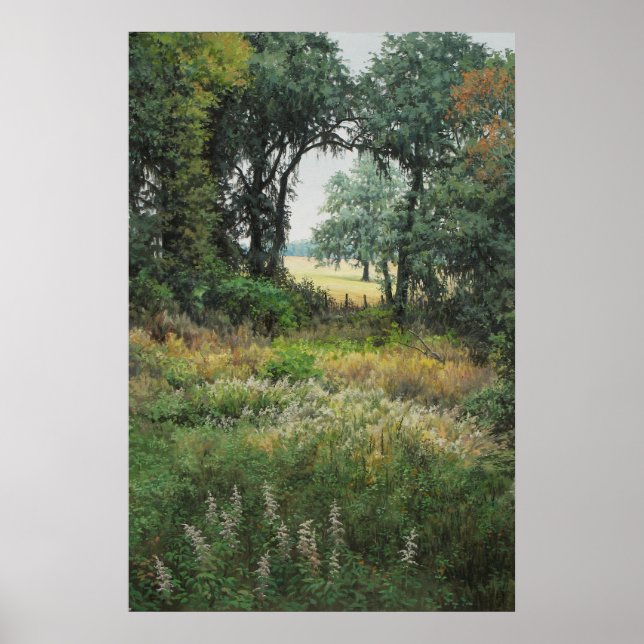 Póster Campos de Tallahassee 2 (Frente)