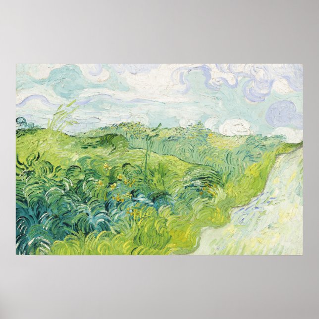 Póster Campos de Trigo Verde, Auvers (1890) de Vincent Va (Frente)