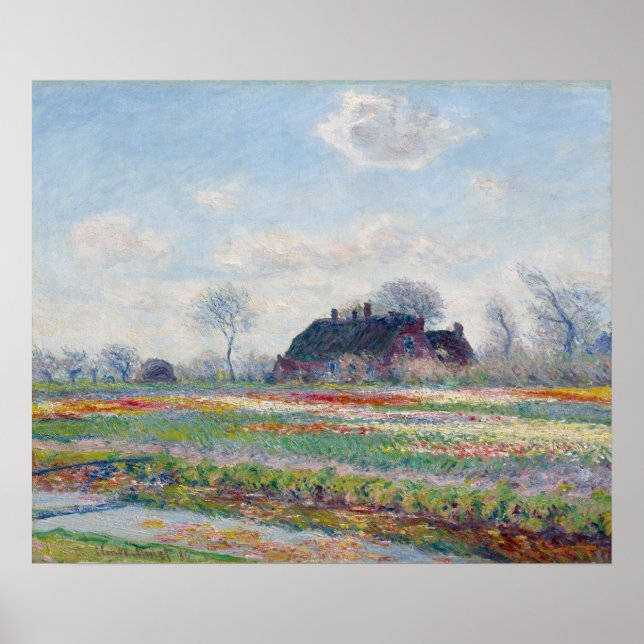 Póster Campos de tulipán en Sassenheim por Claude Monet (Frente)