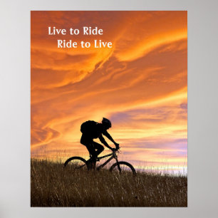 Póster Campos del oro