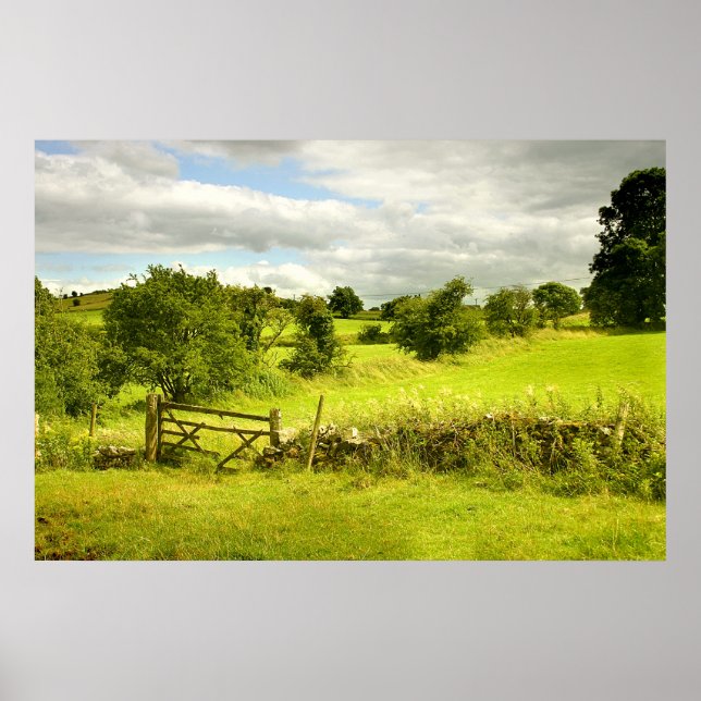 Póster Campos - Poster (Frente)