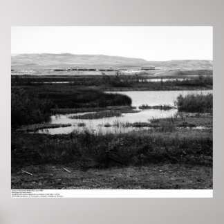 Póster Campus de cross Wildlife Pool, Irvine, 1967