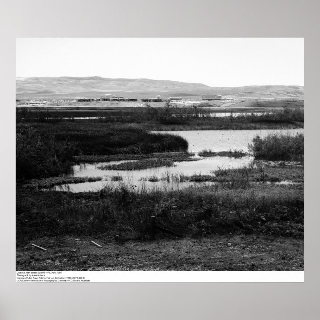 Póster Campus de cross Wildlife Pool, Irvine, 1967 (Frente)