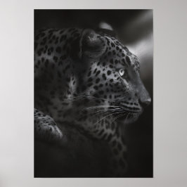 Póster Cana blanca y negra