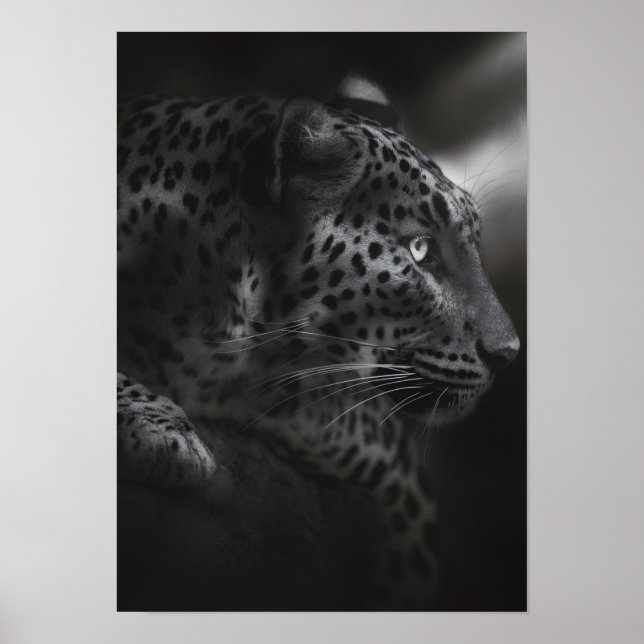 Póster Cana blanca y negra (Frente)