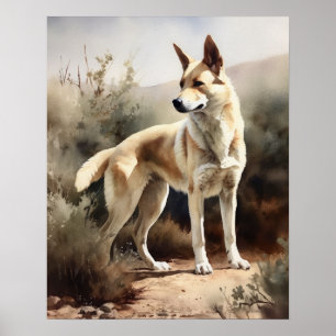 Póster Canaan Dog Art Print Poster