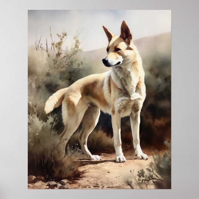 Póster Canaan Dog Art Print Poster (Frente)