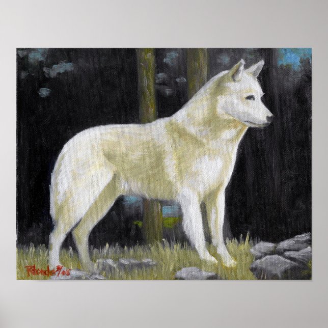 Póster Canaan Dog Portrait Poster Print (Frente)