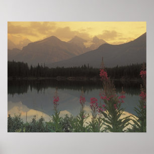 Póster Canadá, Alberta, Banff. Escena del amanecer de