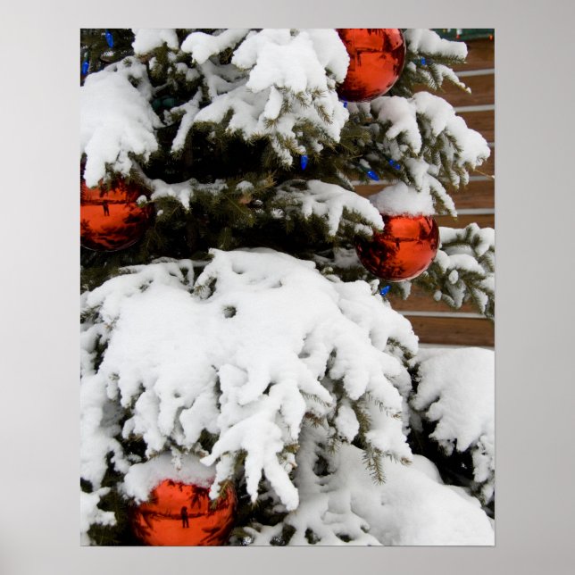 Póster Canadá, Alberta, Jasper, Jasper NP. Fairmont 2 (Frente)