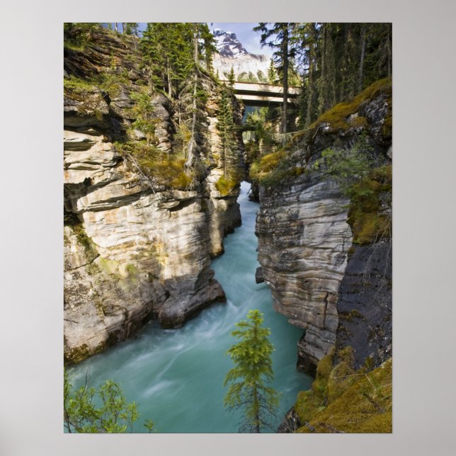 Póster Canada, Alberta, Jasper National Park, Athabasca 2 (Frente)