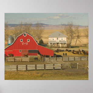 Póster Canadá, Alberta, Pincher Creek: Rancho y granero 