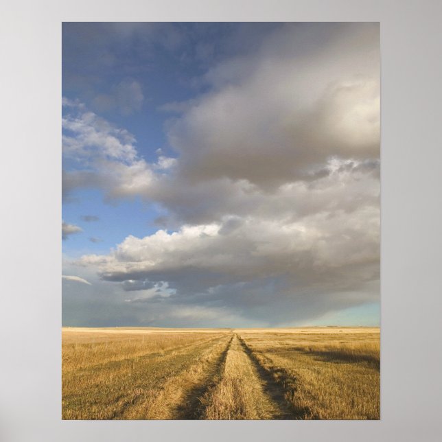 Póster Canadá, Alberta, Stand Off: Paisaje con (Frente)