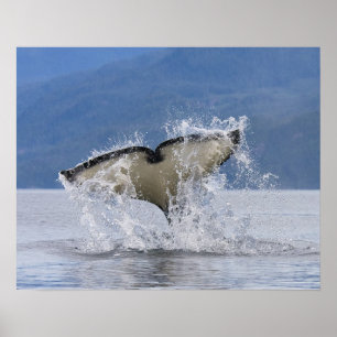 Póster Canadá, Columbia Británica, isla de Vancouver,