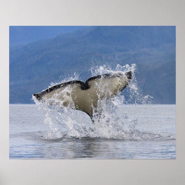 Póster Canadá, Columbia Británica, isla de Vancouver, (Frente)