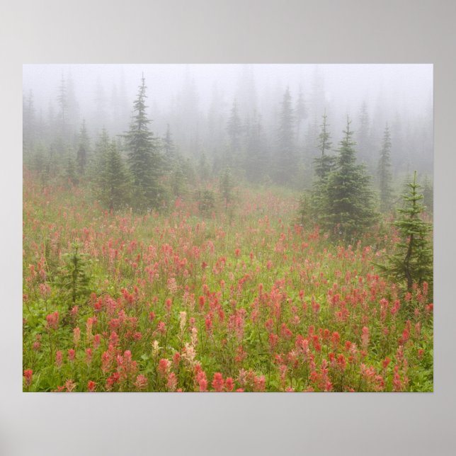 Póster Canadá, Columbia Británica, Revelstoke Nacional (Frente)