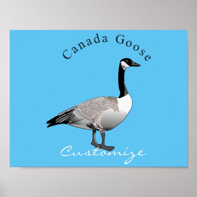 Póster Canadá Goose Gander Thunder_Cove (Frente)
