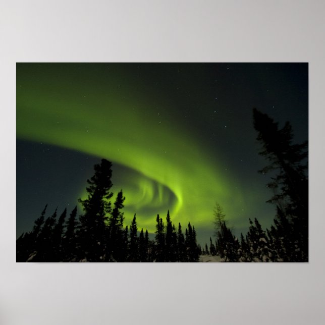 Póster Canadá, Manitoba Vista de aurora boreal y (Frente)