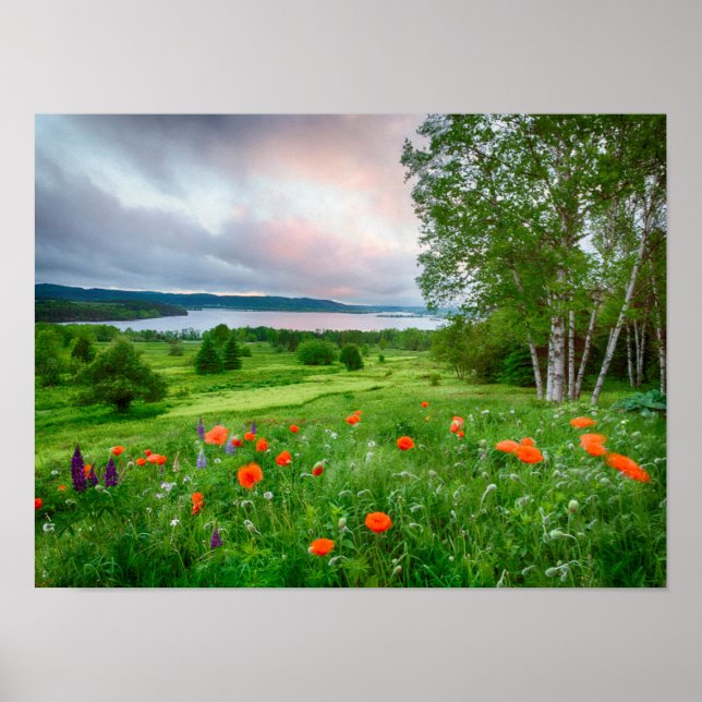Póster Canada, New Brunswick, ,  3 (Frente)