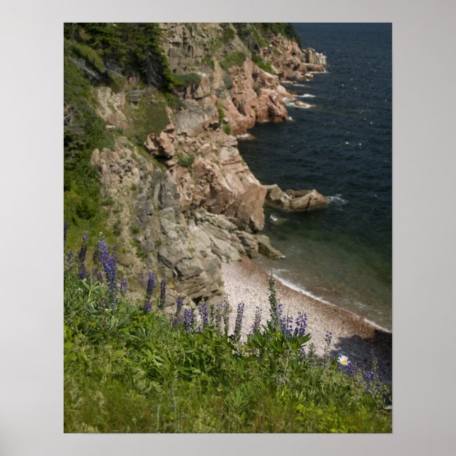 Póster Canadá, Nueva Escocia, Isla del Cabo Bretón, Cabot (Frente)