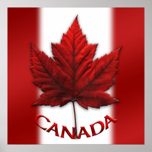 Póster Canada Poster Canada Flag Souvenir Prints & Gifts