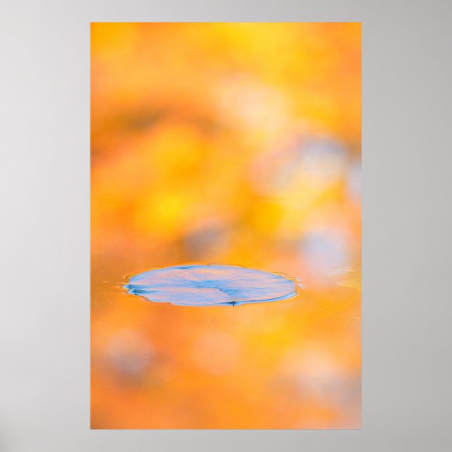 Póster Canada, Quebec | Mount St-Bruno Conservation Park (Frente)