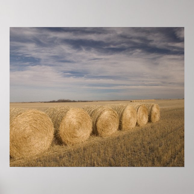 Póster Canadá, Saskatchewan, Craik: Hayrolls / Otoño (Frente)