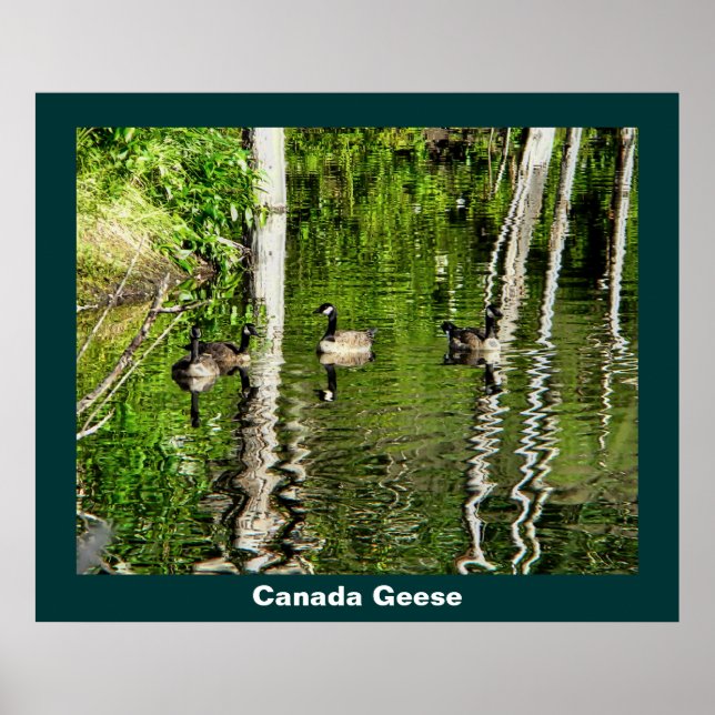 Póster (Canadá) Verde ganso (Frente)