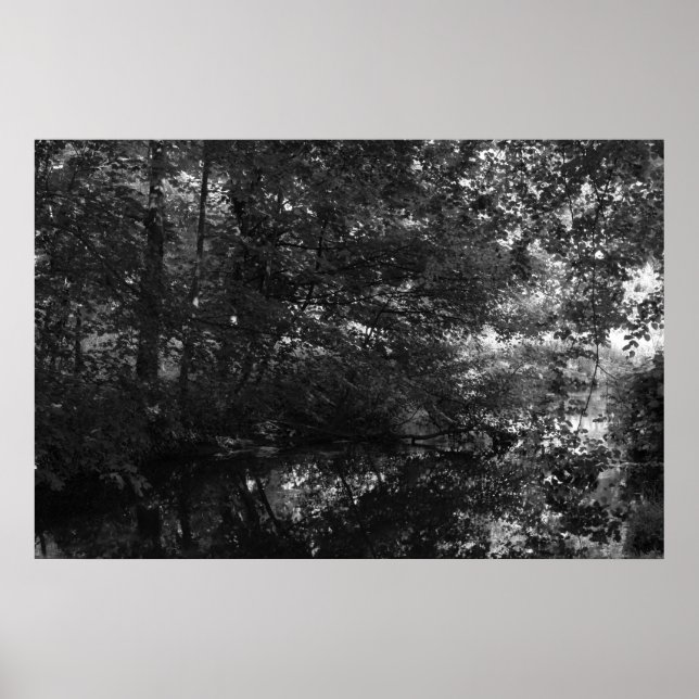 Póster Canal, Bute Park, Cardiff (Frente)