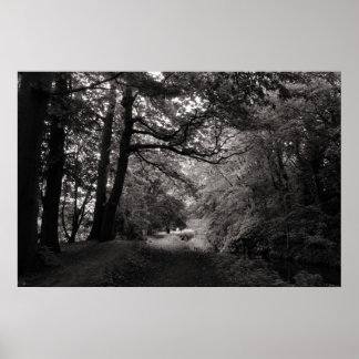 Póster Canal, Bute Park, Cardiff, Gales