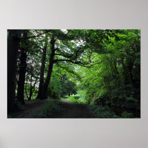 Póster Canal, Bute Park, Cardiff, Gales